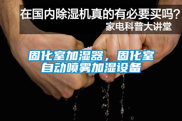 固化室加濕器，固化室自動噴霧加濕設備