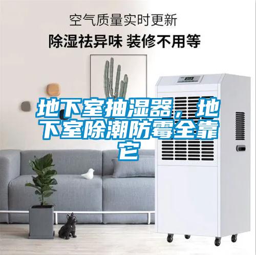 地下室抽濕器，地下室除潮防霉全靠它