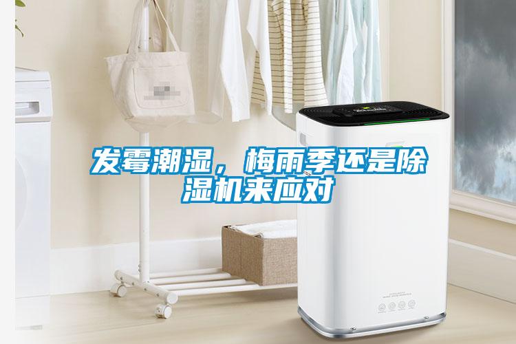 發霉潮濕，梅雨季還是除濕機來應對