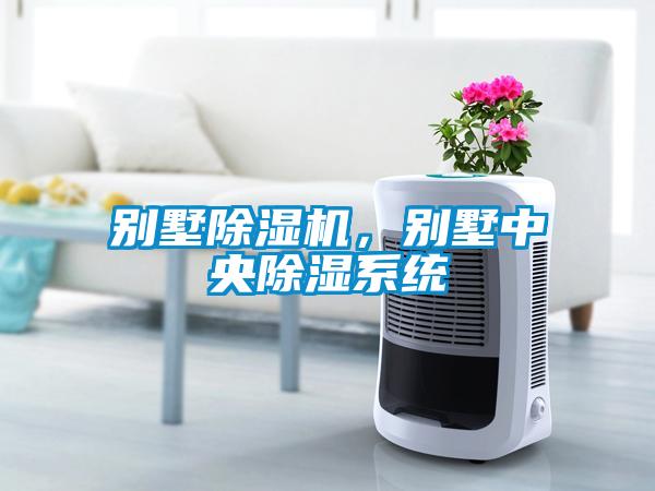 別墅除濕機，別墅中央除濕系統