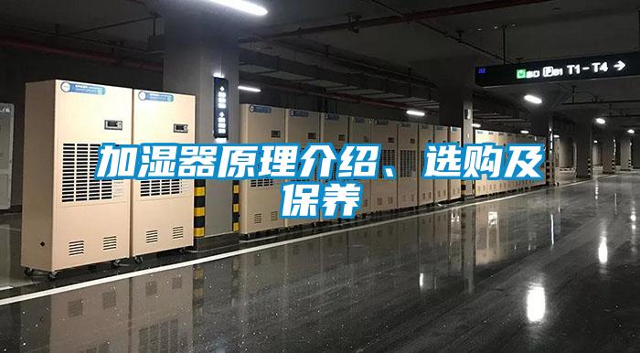 加濕器原理介紹、選購及保養