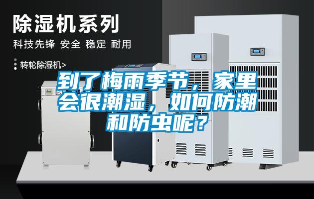 到了梅雨季節，家里會很潮濕，如何防潮和防蟲呢？