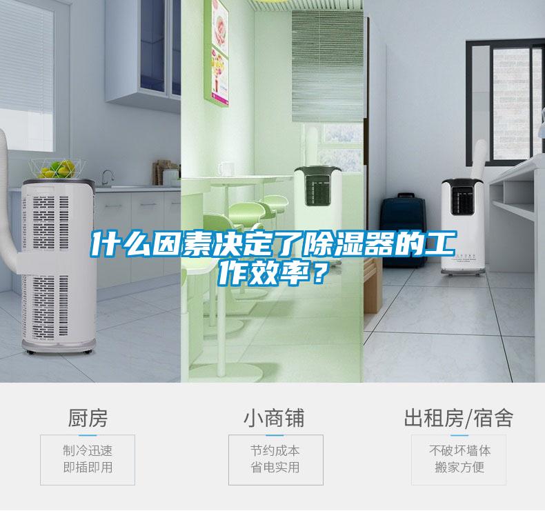 什么因素決定了除濕器的工作效率？