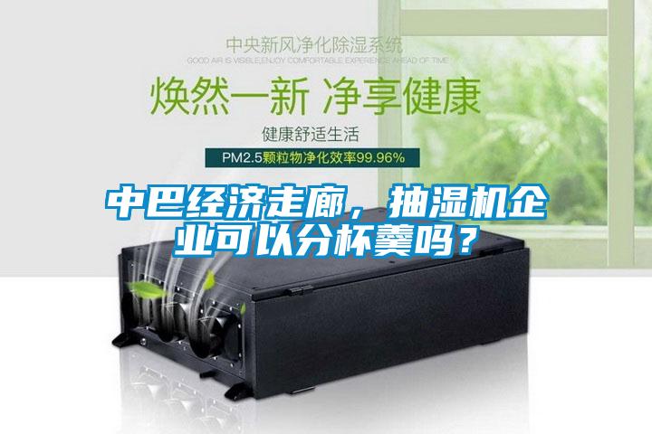 中巴經濟走廊，抽濕機企業可以分杯羹嗎？