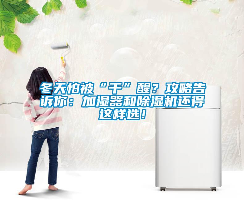 冬天怕被“干”醒？攻略告訴你：加濕器和除濕機還得這樣選！