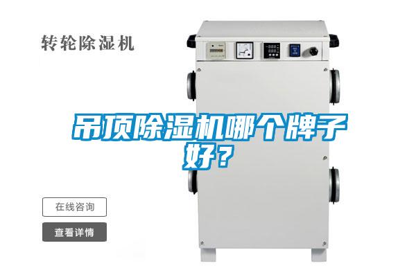 吊頂除濕機哪個牌子好？