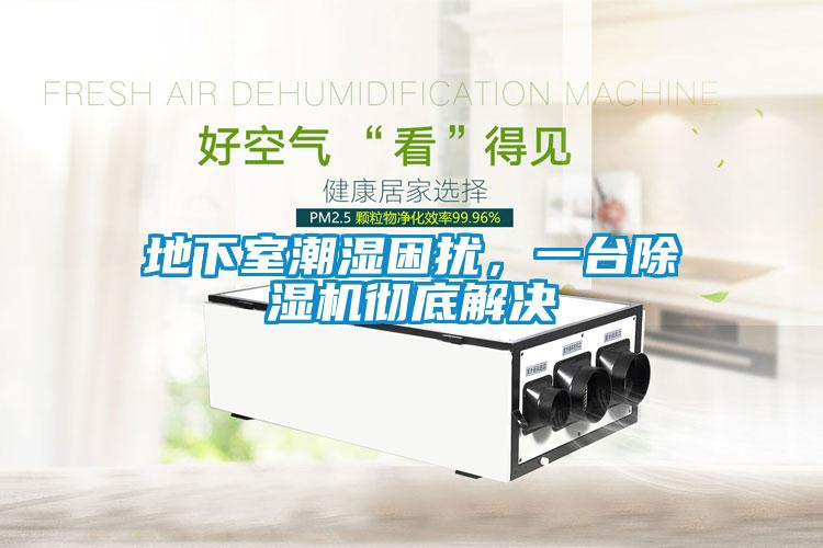 地下室潮濕困擾，一臺除濕機徹底解決