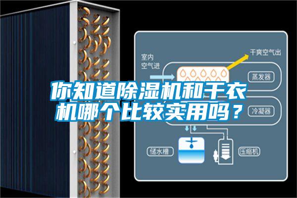 你知道除濕機和干衣機哪個比較實用嗎？