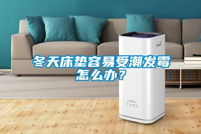 冬天床墊容易受潮發霉怎么辦？