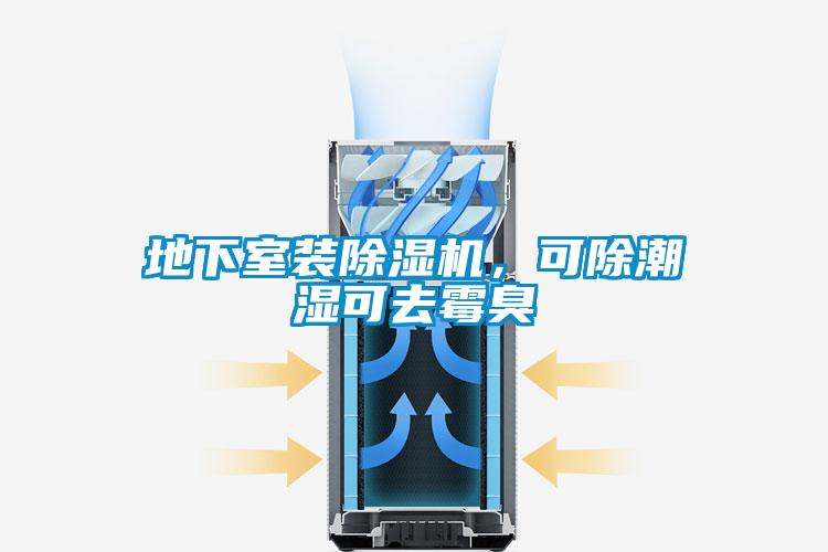 地下室裝除濕機，可除潮濕可去霉臭