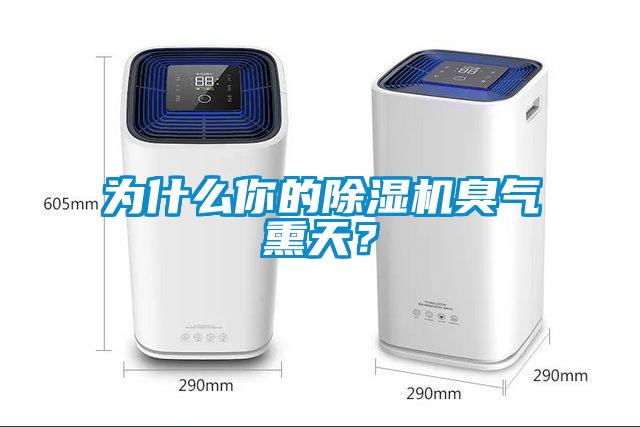 為什么你的除濕機臭氣熏天？