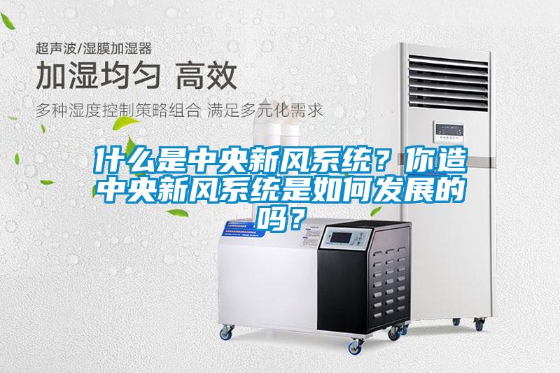 什么是中央新風系統？你造中央新風系統是如何發展的嗎？