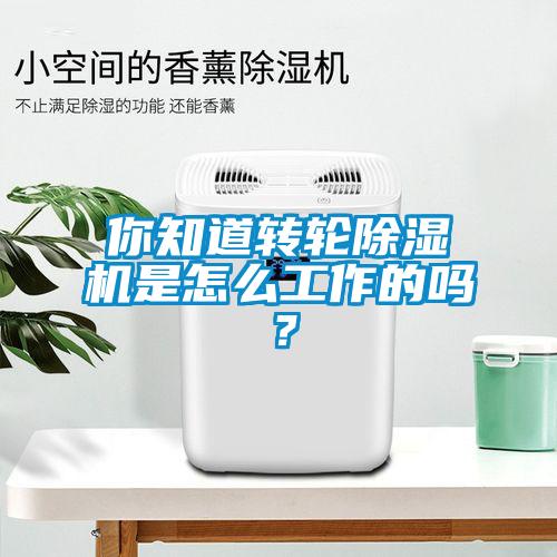 你知道轉輪除濕機是怎么工作的嗎？