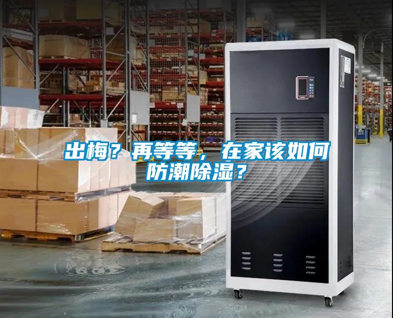 出梅？再等等，在家該如何防潮除濕？