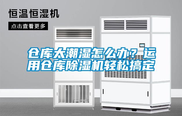 倉庫太潮濕怎么辦？運用倉庫除濕機輕松搞定