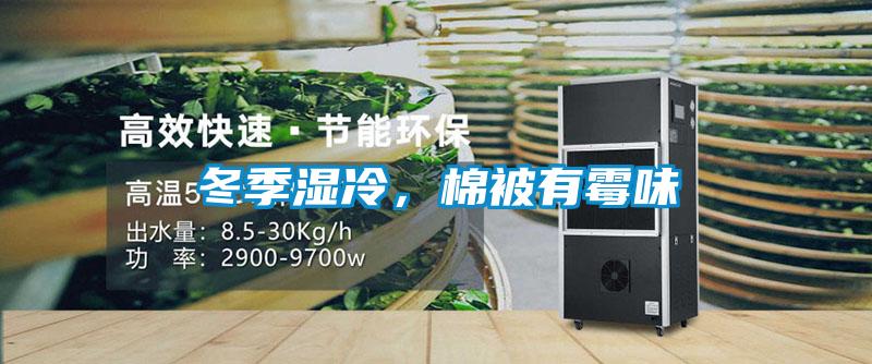 冬季濕冷，棉被有霉味