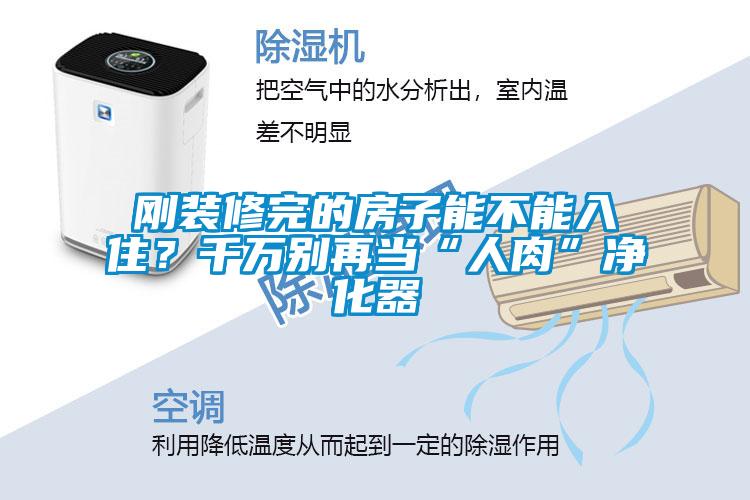 剛裝修完的房子能不能入??？千萬別再當“人肉”凈化器