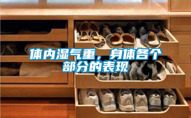 體內濕氣重，身體各個部分的表現