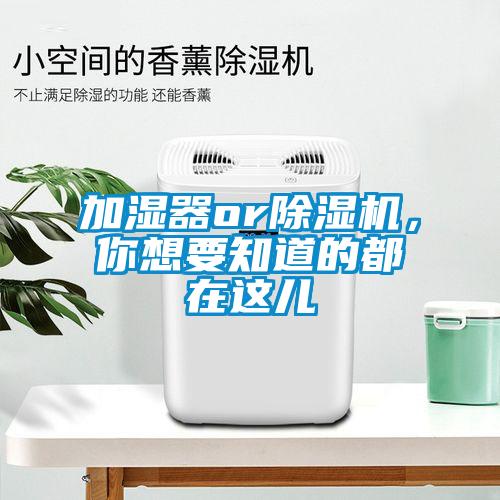 加濕器or除濕機，你想要知道的都在這兒