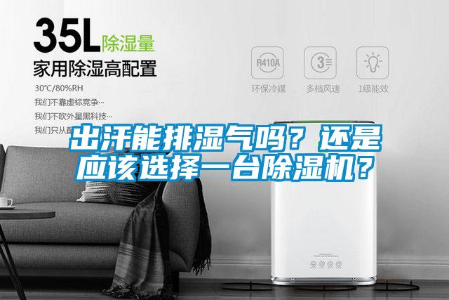 出汗能排濕氣嗎？還是應該選擇一臺除濕機？