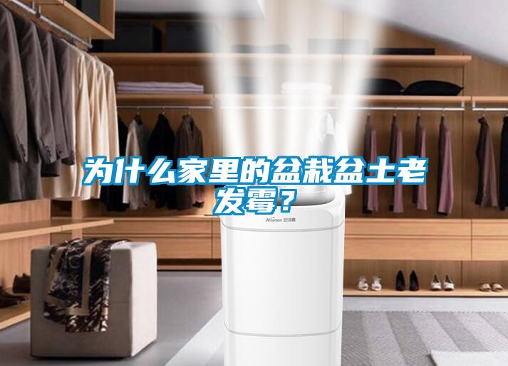 為什么家里的盆栽盆土老發霉？
