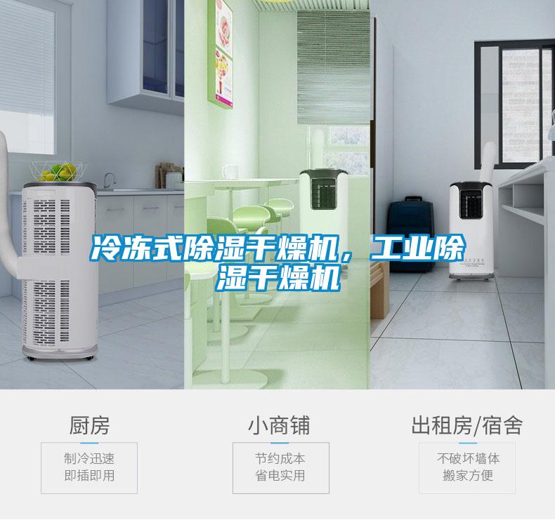 冷凍式除濕干燥機，工業除濕干燥機