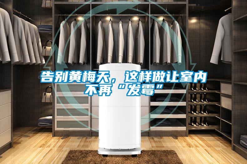 告別黃梅天，這樣做讓室內不再“發霉”
