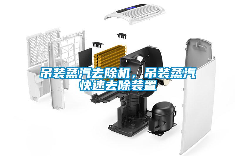 吊裝蒸汽去除機，吊裝蒸汽快速去除裝置