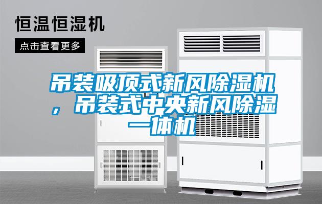 吊裝吸頂式新風除濕機，吊裝式中央新風除濕一體機