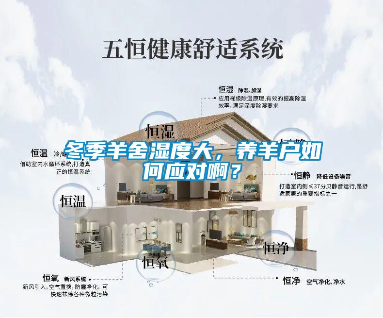 冬季羊舍濕度大，養羊戶如何應對??？