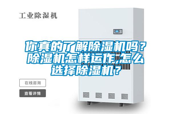 你真的了解除濕機嗎？除濕機怎樣運作,怎么選擇除濕機？