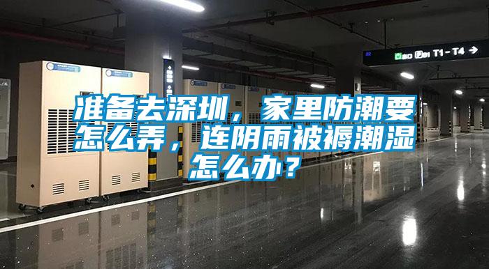 準備去深圳，家里防潮要怎么弄，連陰雨被褥潮濕怎么辦？