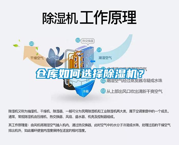 倉庫如何選擇除濕機？