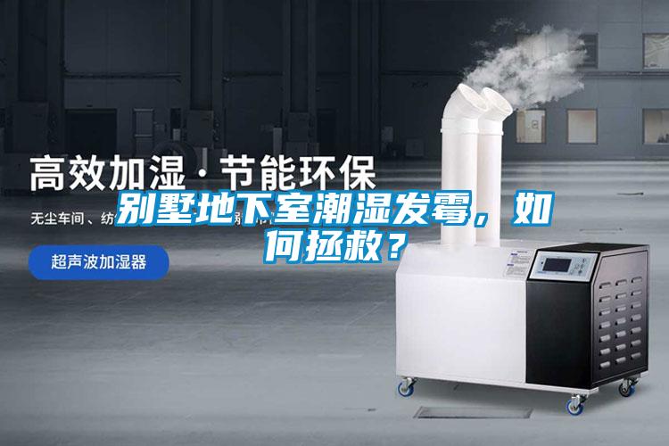 別墅地下室潮濕發霉，如何拯救？
