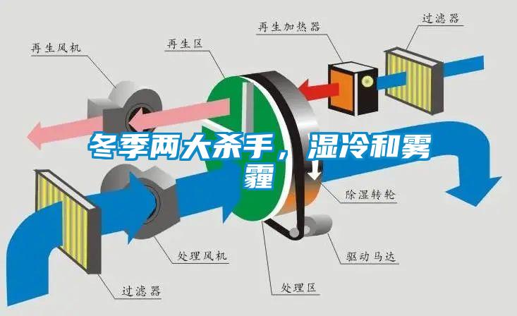 冬季兩大殺手，濕冷和霧霾