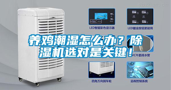 養雞潮濕怎么辦？除濕機選對是關鍵！