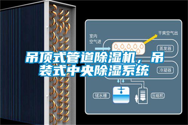 吊頂式管道除濕機，吊裝式中央除濕系統