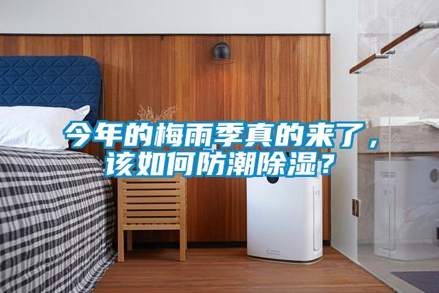 今年的梅雨季真的來了，該如何防潮除濕？