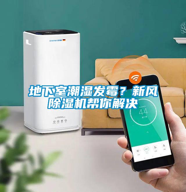 地下室潮濕發霉？新風除濕機幫你解決