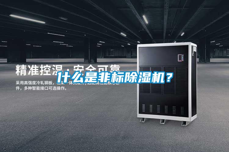 什么是非標除濕機？