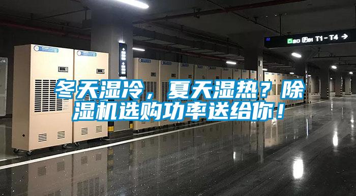 冬天濕冷，夏天濕熱？除濕機選購功率送給你！