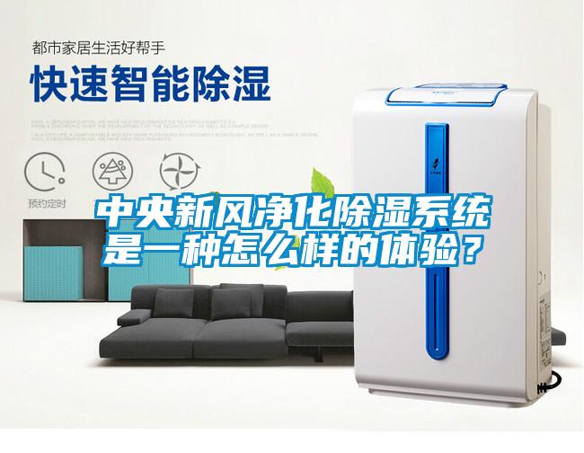 中央新風凈化除濕系統是一種怎么樣的體驗？
