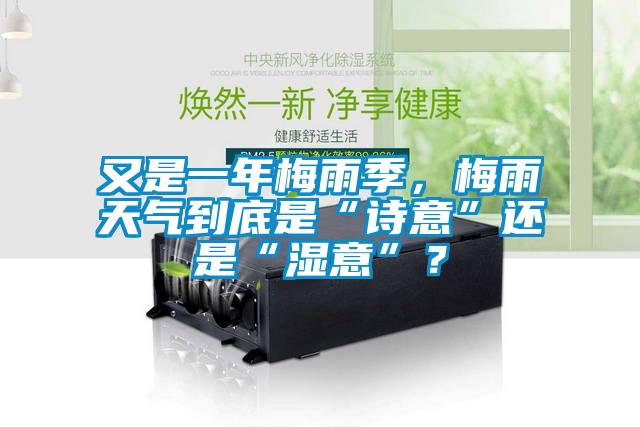 又是一年梅雨季，梅雨天氣到底是“詩意”還是“濕意”？