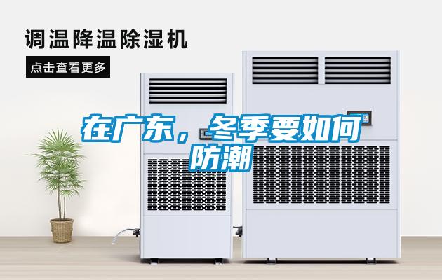 在廣東，冬季要如何防潮