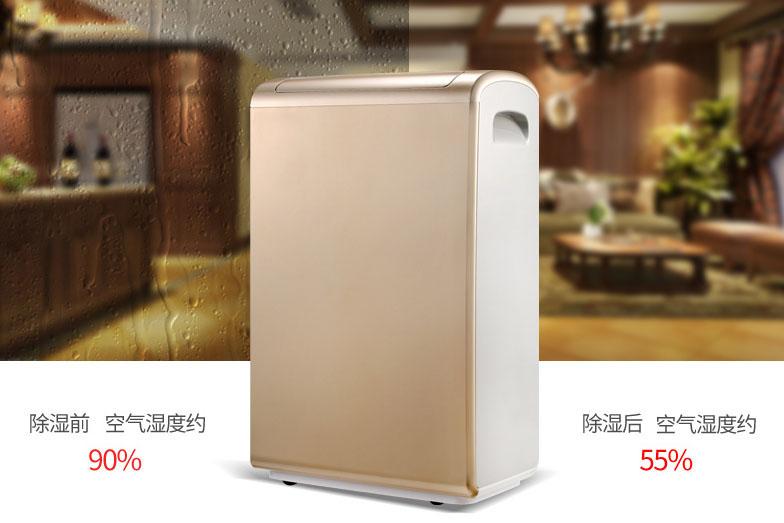 雙十一不囤除濕機？來年梅雨季繼續忍受潮濕嗎？