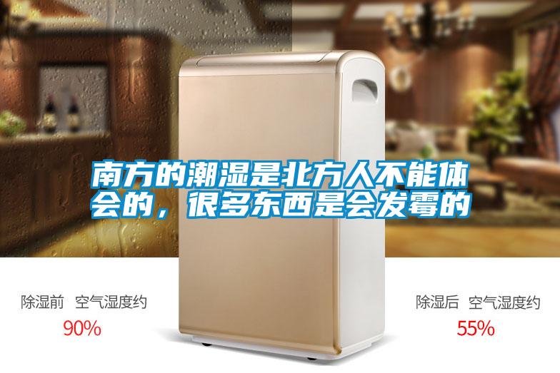 南方的潮濕是北方人不能體會的，很多東西是會發霉的