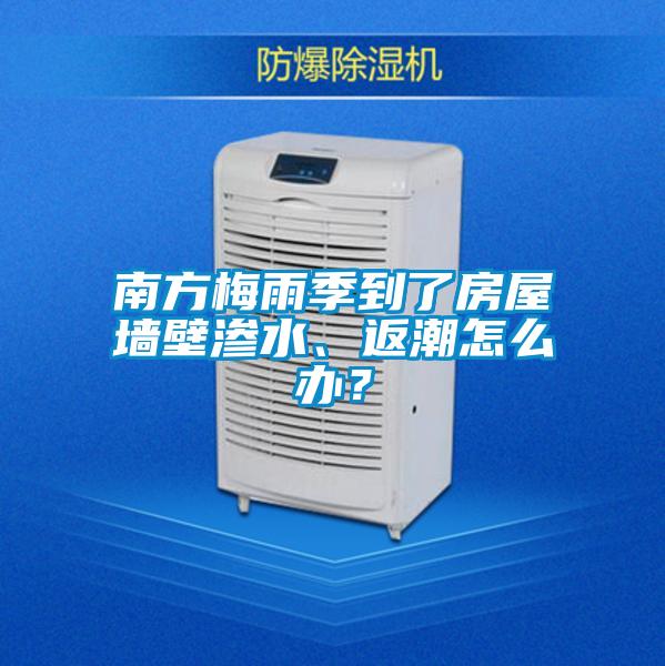 南方梅雨季到了房屋墻壁滲水、返潮怎么辦？