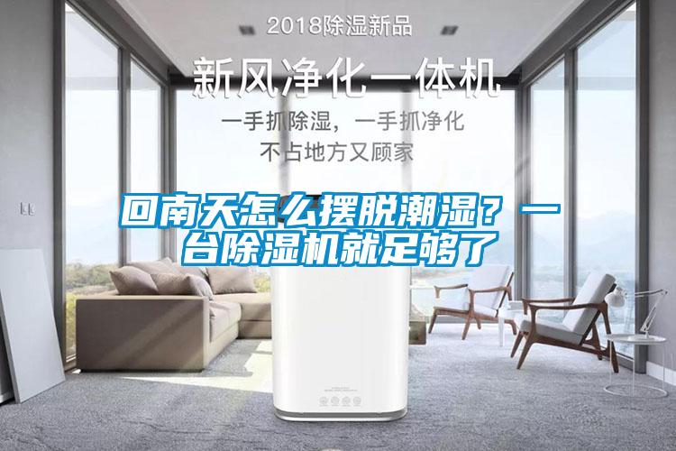 回南天怎么擺脫潮濕？一臺除濕機就足夠了
