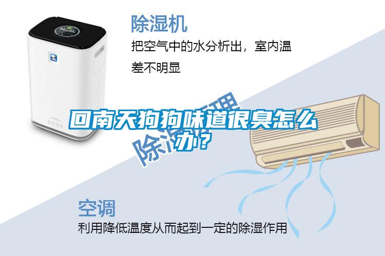 回南天狗狗味道很臭怎么辦？