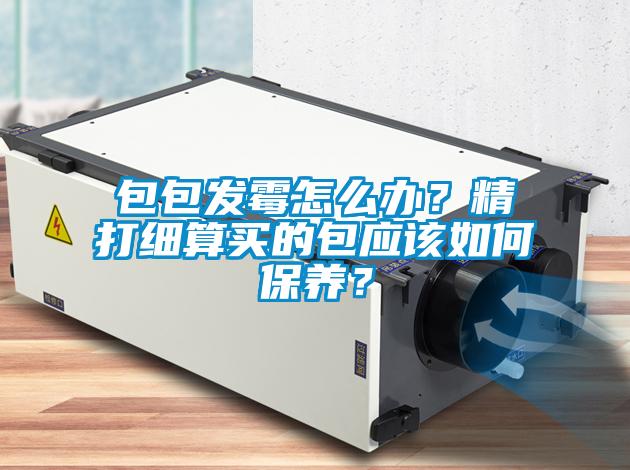 包包發霉怎么辦？精打細算買的包應該如何保養？